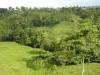 tropical hardwood rainforest and pasture, Costa Rica