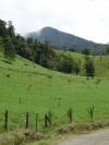 tropical hardwoods of Costa Rica