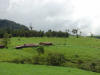 tropical hardwoods of Costa Rica