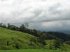 tropical hardwoods of Costa Rica