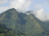 tropical hardwood forests of Costa Rica