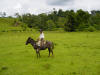 farmer on mule costa rica farm