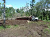 logger deforesting tropical hardwood in Costa Rica