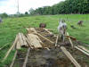 tropical hardwood Costa Rica