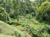 Costa Rica soil erosion