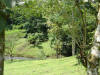 stream near Finca Leola in Costa Rica