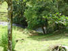 stream near Finca Leola in Costa Rica