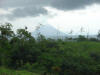 Arenal Volcano from Finca Leola tropical hardwood plantation, Costa Rica