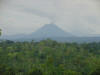 tropical hardwood and arenal volcano