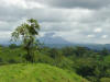 tropical hardwood plantation, Costa Rica