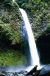 waterfall in La Fortuna, Costa Rica in tropical hardwood rainforest