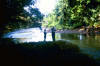 Fishing a Costa Roca river surrounded by tropical hardwood