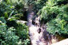 Rio Pataste, Costa Rica in ravine