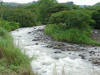 river with island, Costa Rica