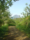 Arenal volcano country road