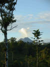 Arenal Volcano at dawn with tropical hardwood, Costa Rica