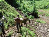 horseback riding in costa rica