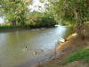 rio frio river costa rica