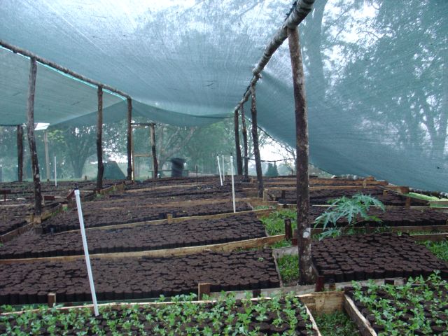 A vivero is not a nursery...